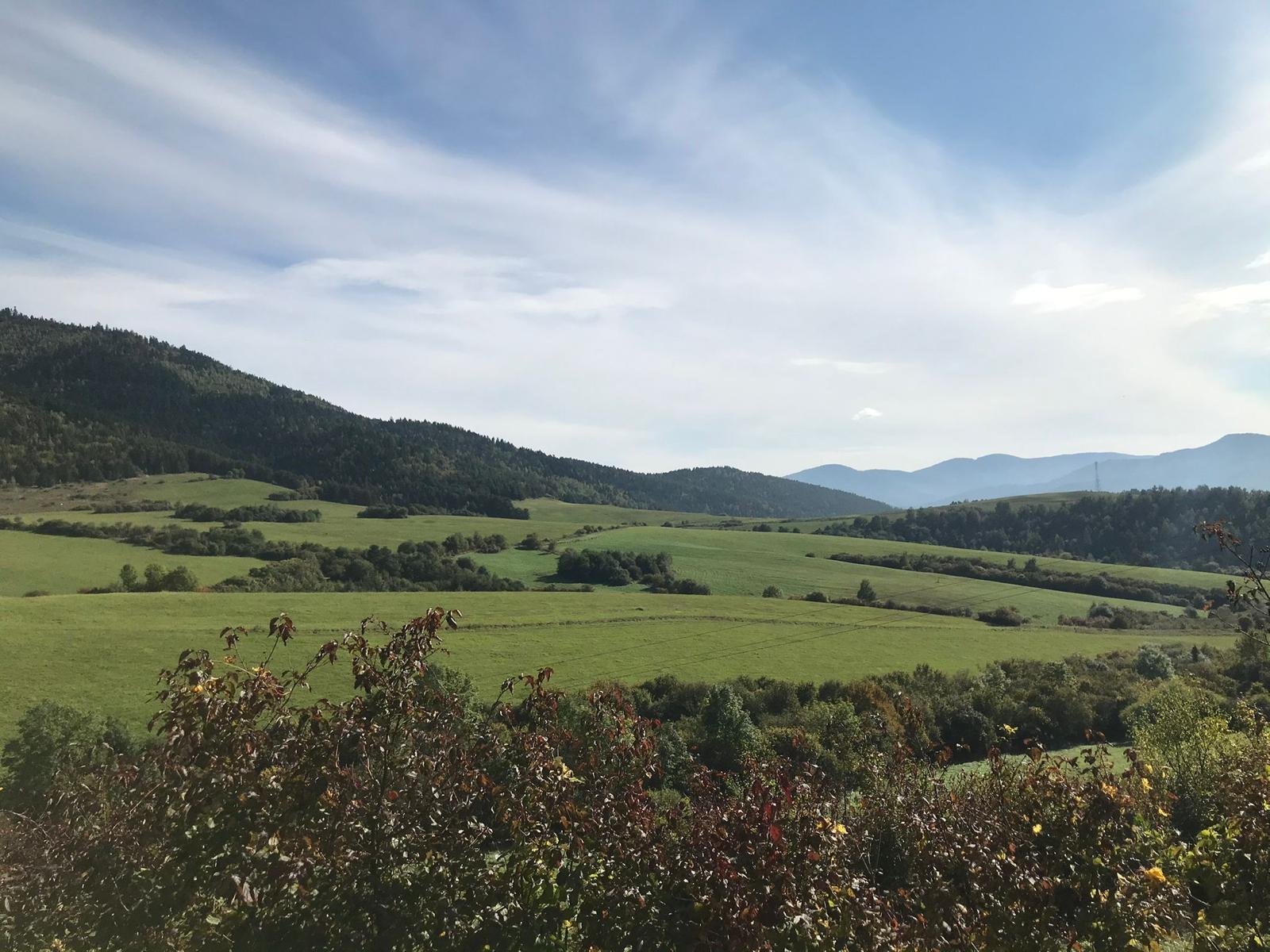 POZEMOK NA PREDAJ - OBEC DÚBRAVA