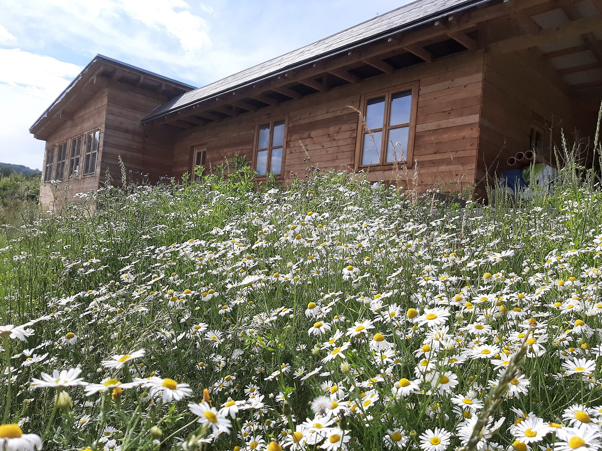 NA PREDAJ POZEMOK S REKREAČNÝM DOMOM - ZEMIANSKE PODHRADIE (BIELE KARPATY)