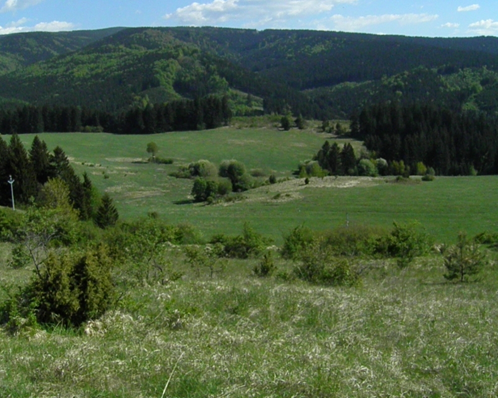 Rekreačný pozemok v obci Čremošné, 1.500 m2